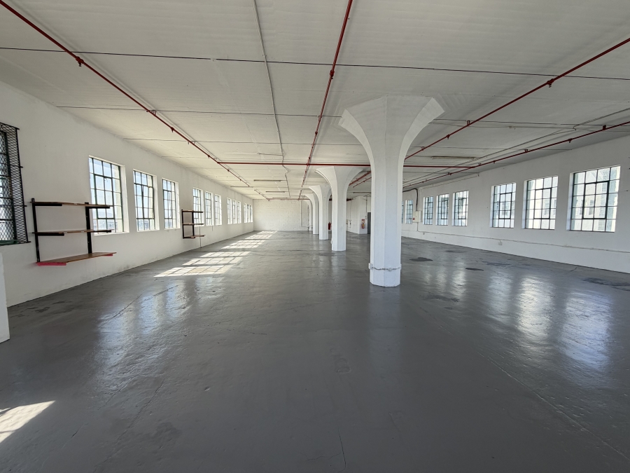 To Let Commercial Property for Rent in Woodstock Western Cape